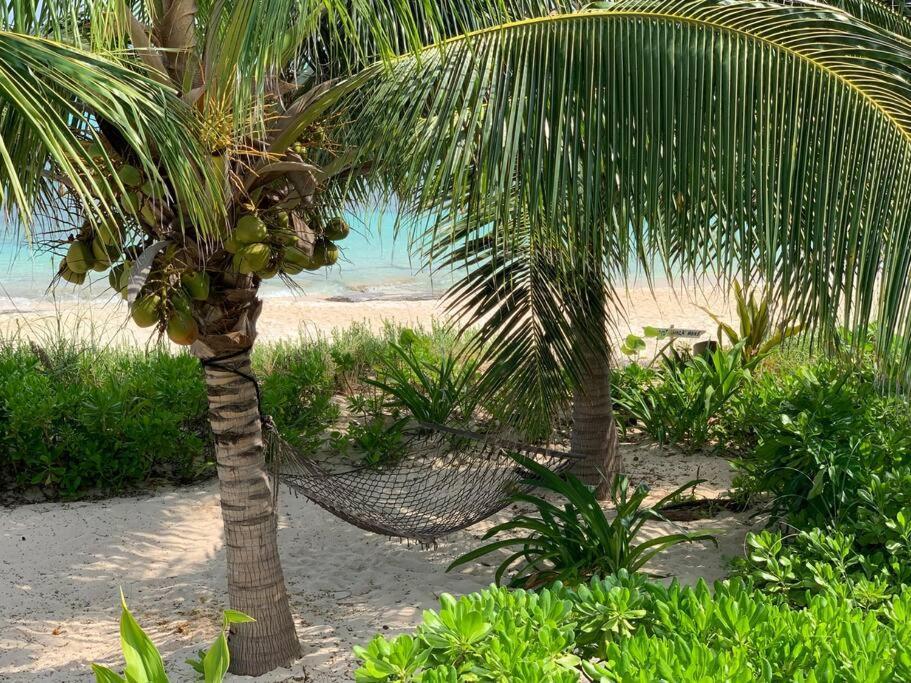 Beach'Nbarefoot แนสซอ ภายนอก รูปภาพ